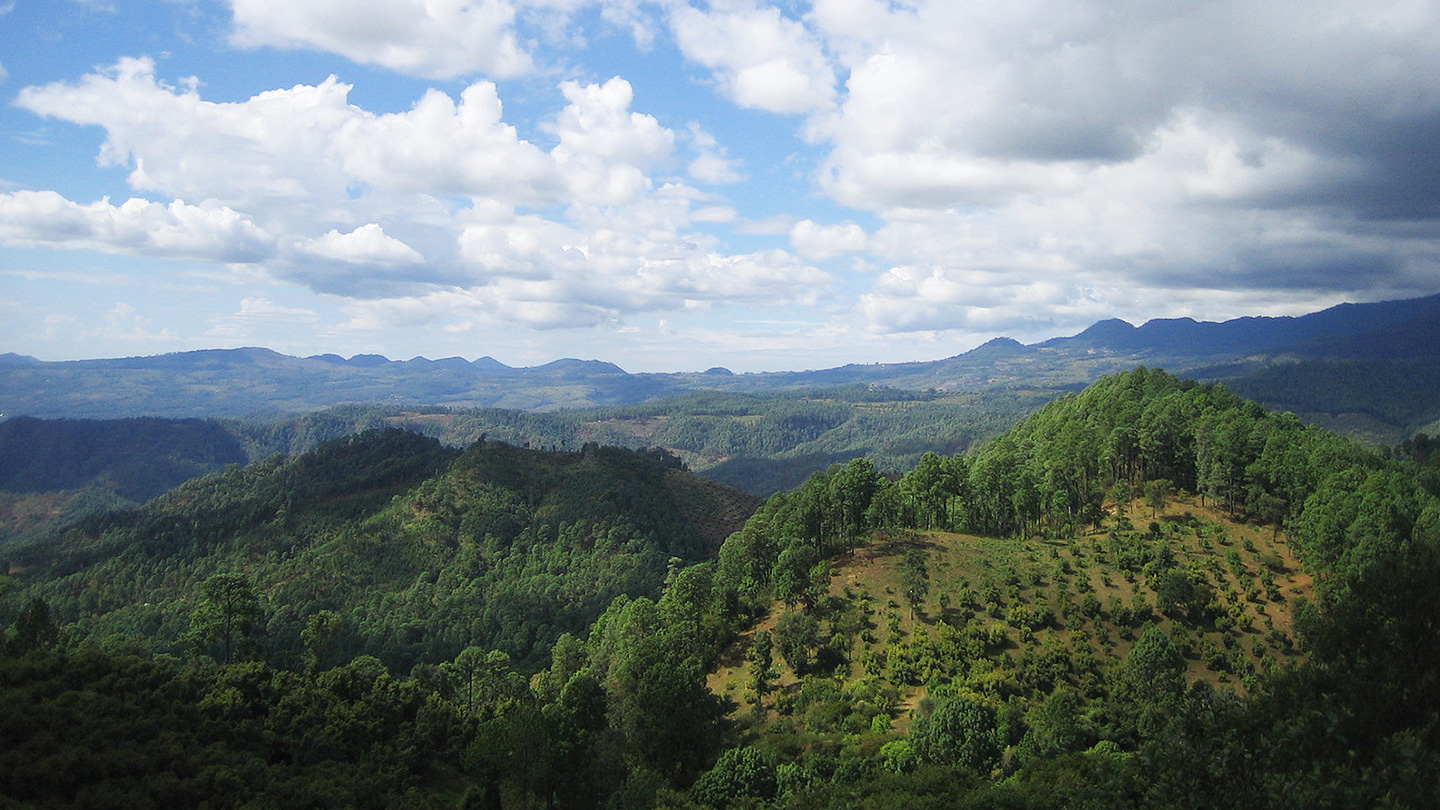 The Journey of Avocados from Mexico | Avocados from Mexico